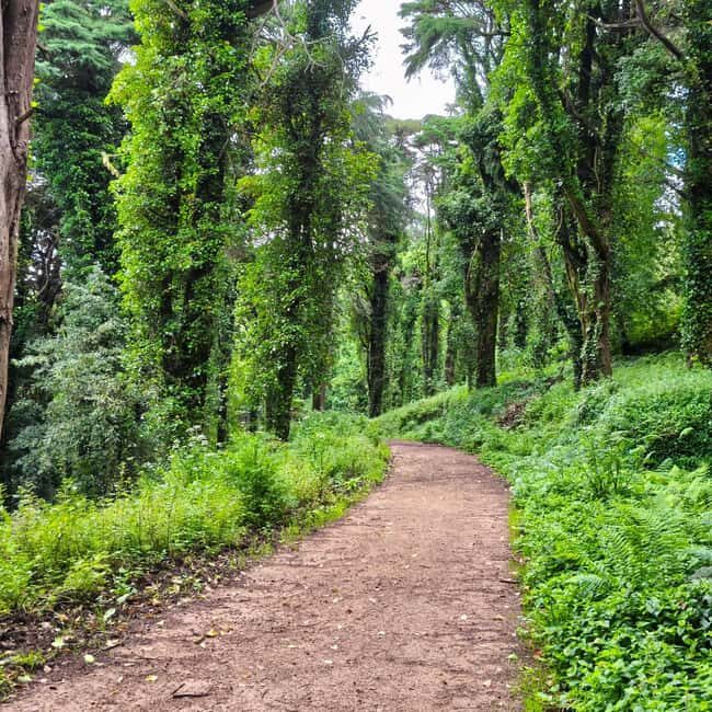 Lisbon: Sintra Hidden Trails Hike - The Trails and Terrain