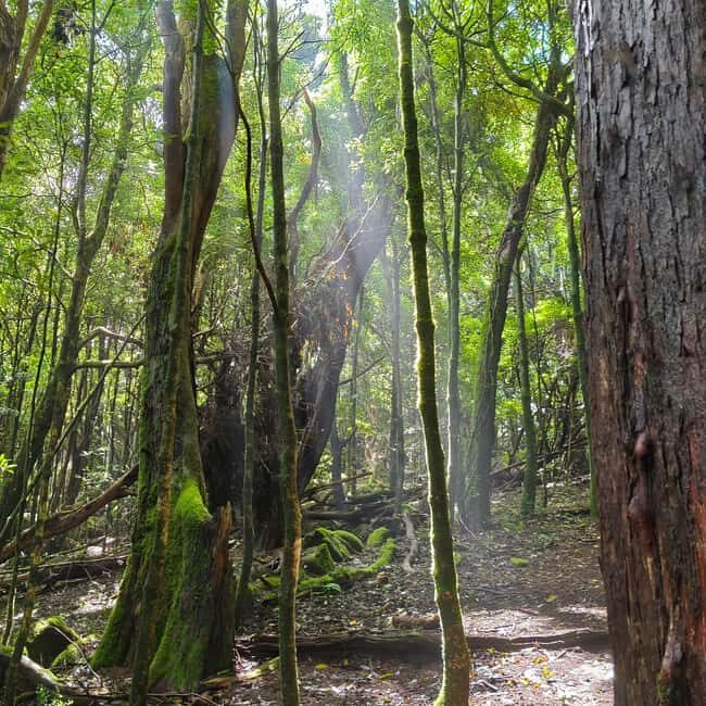 Lisbon: Sintra Hidden Trails Hike - The Sum Up