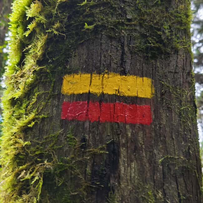 Lisbon: Sintra Hidden Trails Hike - FAQ