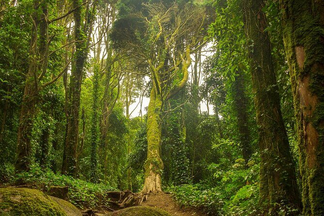 Lisbon: Sintra, Pena Palace, Cascais & Cabo Small Group Day Tour - The Sum Up