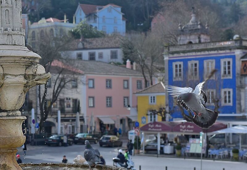 Lisbon: Sintra, Pena Palace, Quinta Regaleira, Cascais Tour - Scenic Coastal Drive: From Sintra to Cascais