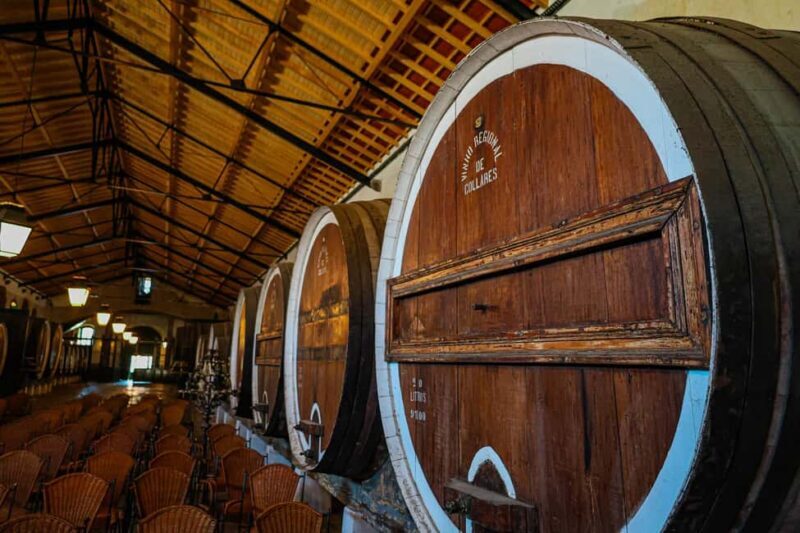 Lisbon: Sintra, Pena Palace & Wine Tasting Small-Group Tour - Who Is This Tour Best For?