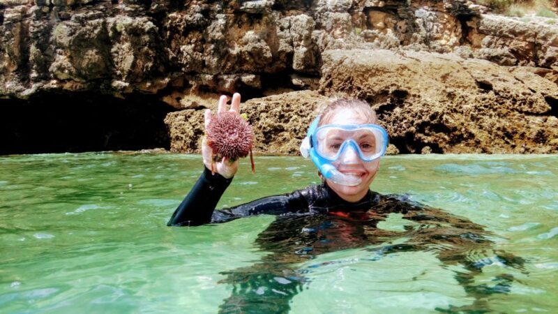 Lisbon: Snorkeling and Wine Tasting in Arrábida - FAQ