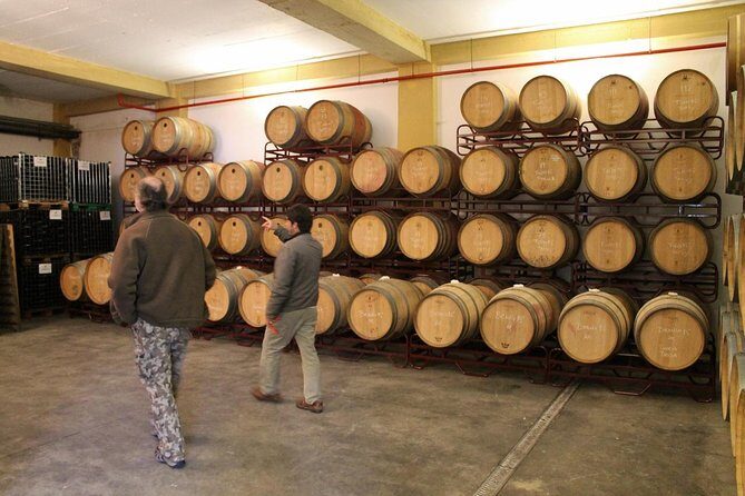 Lisbon Southern Region (Fernão Pó) Wine Tasting Private Tour - Frequently Asked Questions