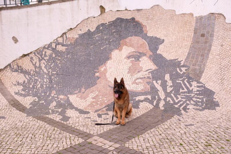 Lisbon: Street Art Private Guided Tour by Tuk-Tuk - FAQ