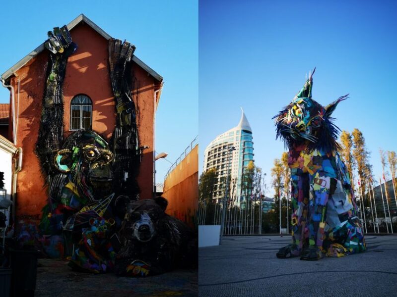 Lisbon: Street Art Tuk Tuk Tour - Final Thoughts