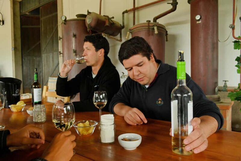 Lisbon: Surf Lesson, Sesimbra & Arrábida Wine Tasting Tour - Final Thoughts