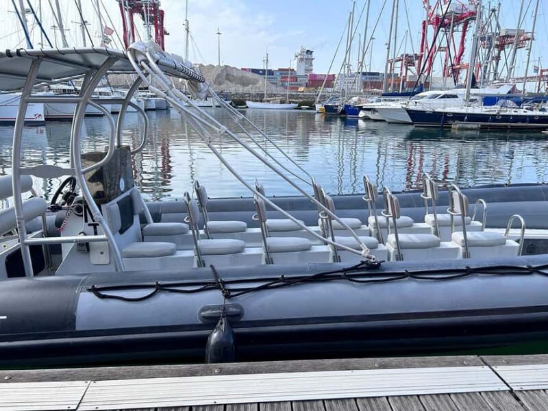 Lisbon: Tagus River Marine Wildlife Speedboating Adventure - Key Points