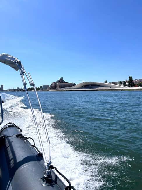 Lisbon: Tagus River Marine Wildlife Speedboating Adventure - Who Should Consider This Tour?