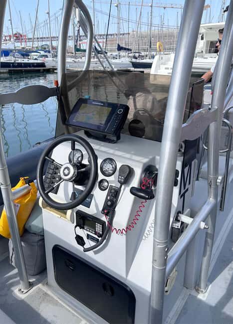 Lisbon: Tagus River Marine Wildlife Speedboating Adventure - The Sum Up