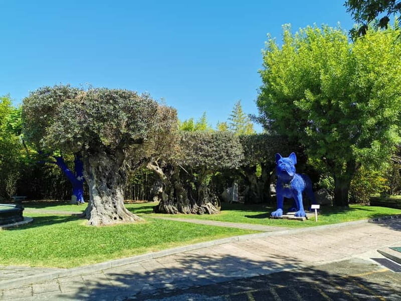 Lisbon to Wine Tasting Setubal, Two Cellars, Half Day Tour - Key Points