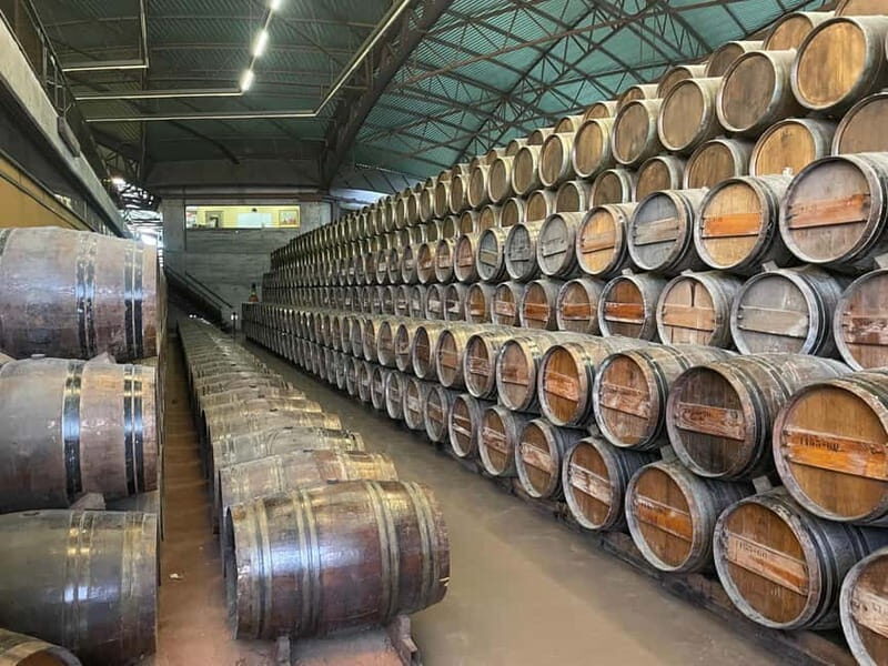 Lisbon: Tour Cristo Rei, Setúbal, Arrábida, Azeitão, Palmela - Key Points