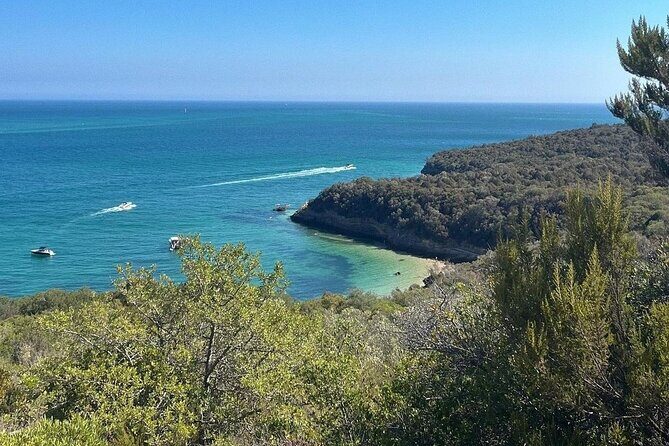 Lisbon Tour to Setúbal, Mountains and Sea, with Wine Tasting - Who Is This Tour Best For?