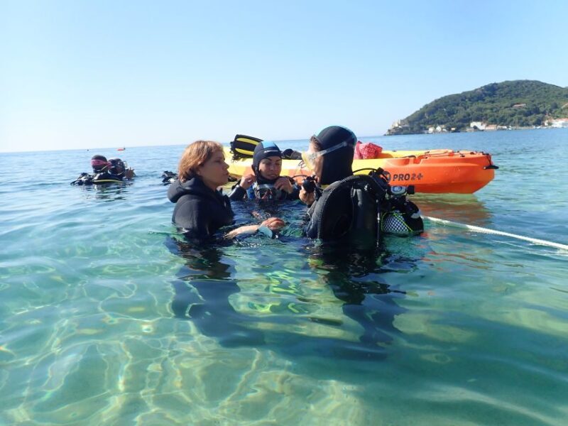 Lisbon: Try Dive in Arrábida Marine Reserve Setubal Sesimbra - Whats the Experience Really Like?
