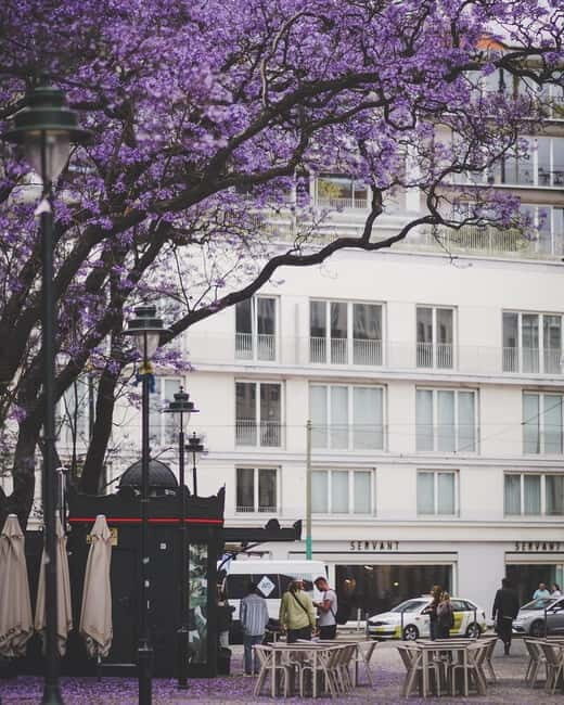Lisbon: Tuk Tuk Tour of Belém Historic Area - An In-Depth Look at the Experience