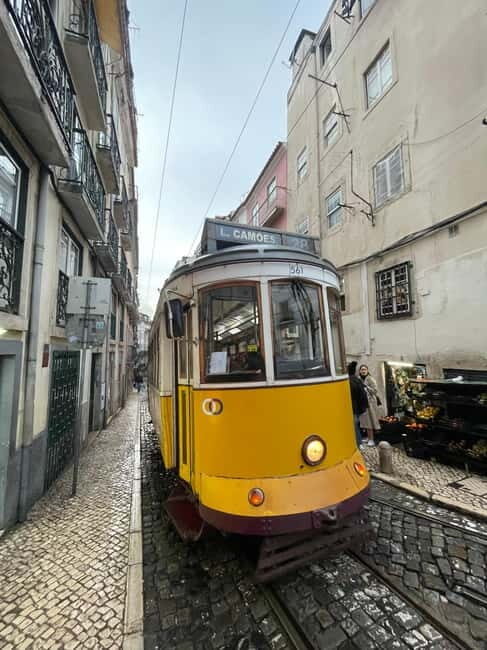 Lisbon: Walking Tour with Historic Tram 28 Ride & Tastings - Key Points