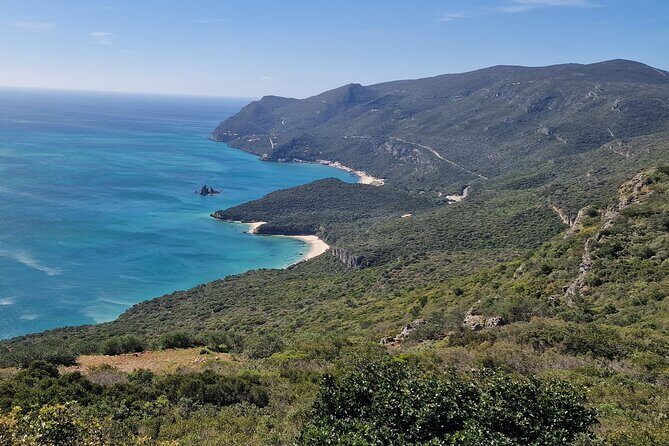 Lisbon Wine Tour: Azeitao, Setubal and Arrabida and Hotel Pickup - The Experience: What We Think