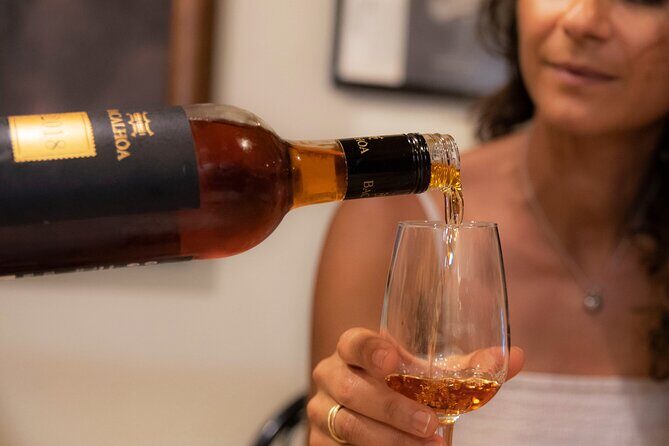 Lisbon's authentic Food and Wine tour with a Winemaker - Practical Details: What You Need to Know