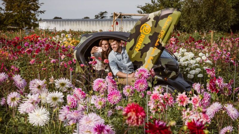 Lisse: Drive-it-Yourself Summer Flower GPS Audio Tour - Exploring the Tour Itself