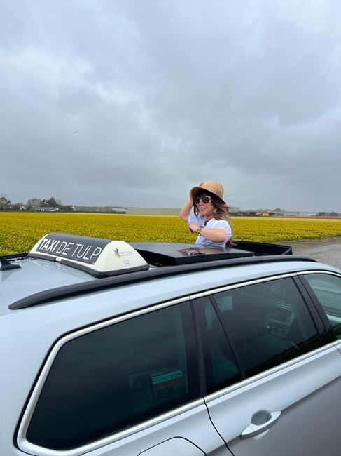 Lisse: Private Tulip Fields Tour with a Local Guide 1h Tour - Key Points