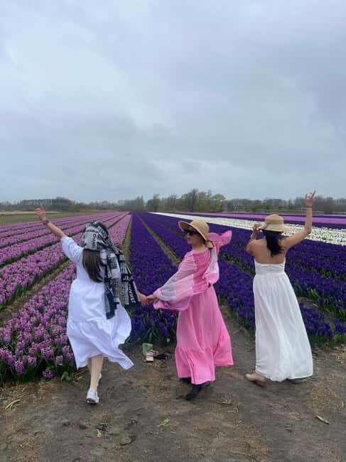 Lisse: Private Tulip Fields Tour with a Local Guide 1h Tour - What to Expect from This Tulip Tour in Lisse