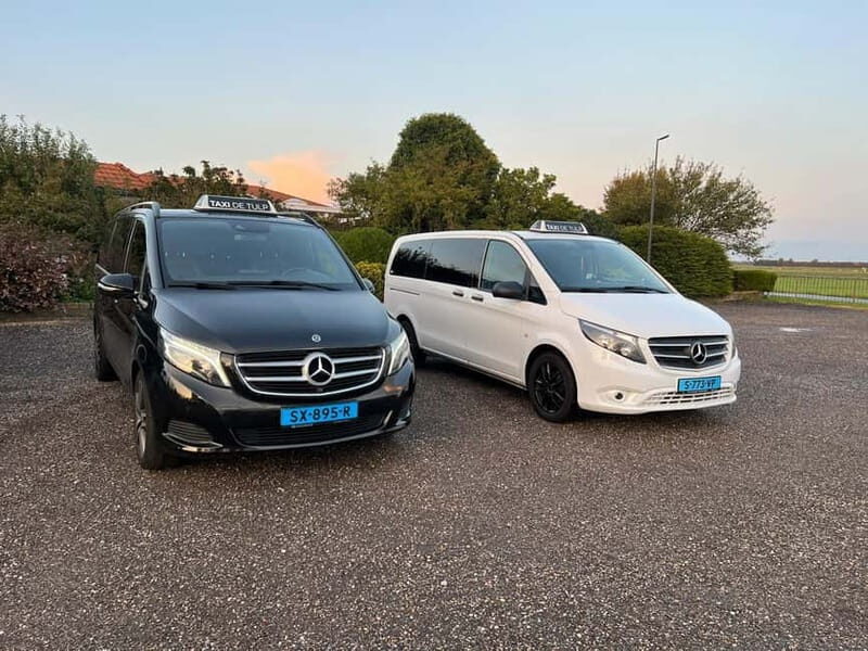 Lisse: Private Tulip Fields Tour with a Local Guide 1h Tour - The Value of a Private Guided Tour