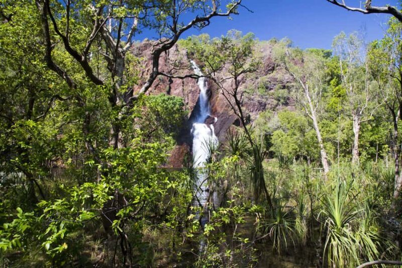 Litchfield National Park: Full-Day & Lunch from Darwin - Final Thoughts: Who Will Love This Tour?