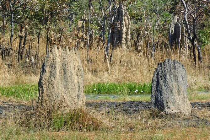 Litchfield Park & Jumping Crocodile Cruise - The Experience and Guide Quality