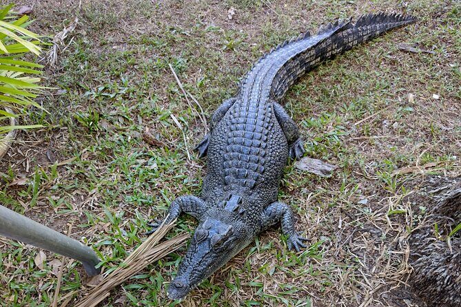 Litchfield Park & Jumping Crocodile Cruise - Final Thoughts