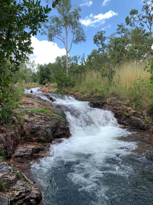 Litchfield VIP Tours, Litchfield National Park, Day Tours, - Who Should Consider This Experience?