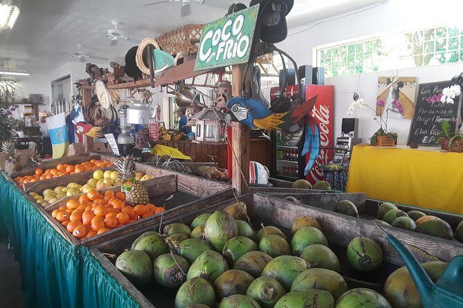 Little Havana Food museums performing arts galleries music cigars - Who Should Consider This Tour?