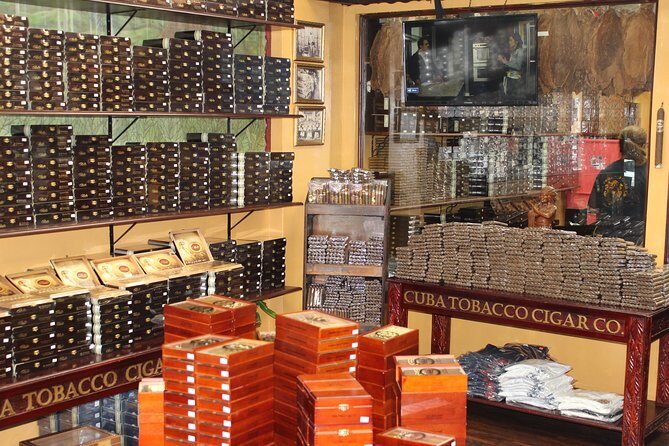 Little Havana Street Food Tour with Enthusiastic Guide - Who is This Tour Best For?