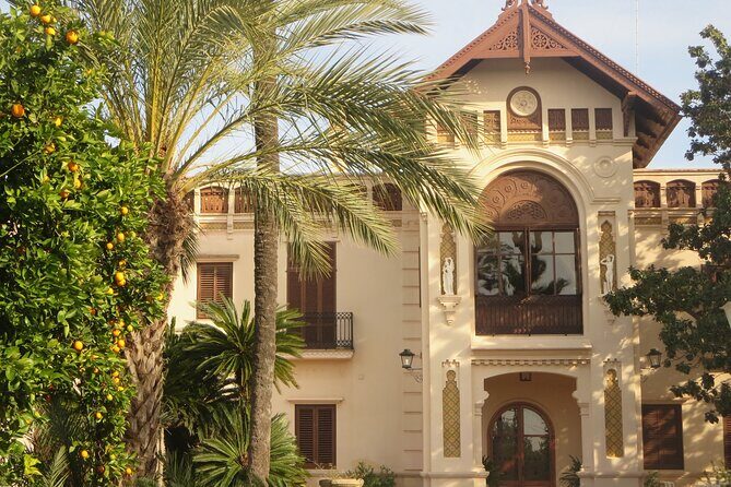 Live an Experience Among Orange Trees in Huerto Ribera - Exploring the Orange Groves of Huerto Ribera: A Genuine Taste of Valencia’s Citrus Heritage