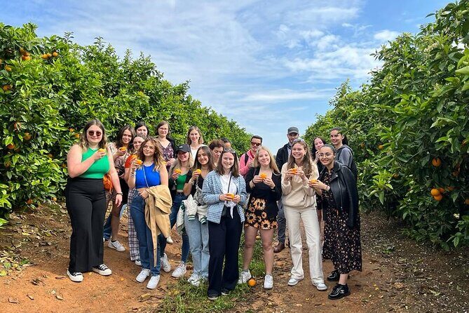 Live an Experience Among Orange Trees in Huerto Ribera - An In-Depth Look at the Orange Grove Experience
