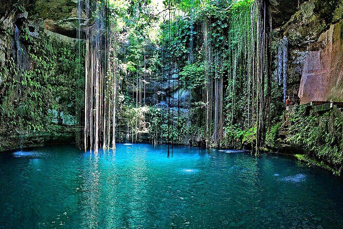 Live the Chichen Itza and cool off in a Sacred Cenote - What the Tour Offers: A Deep Dive