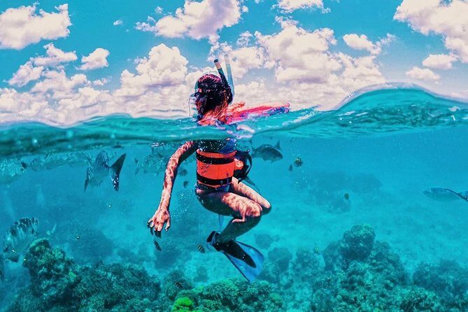 Live this unique snorkeling experience. El Cielo in Cozumel a magical tour. - What the Tour Promises: A Closer Look