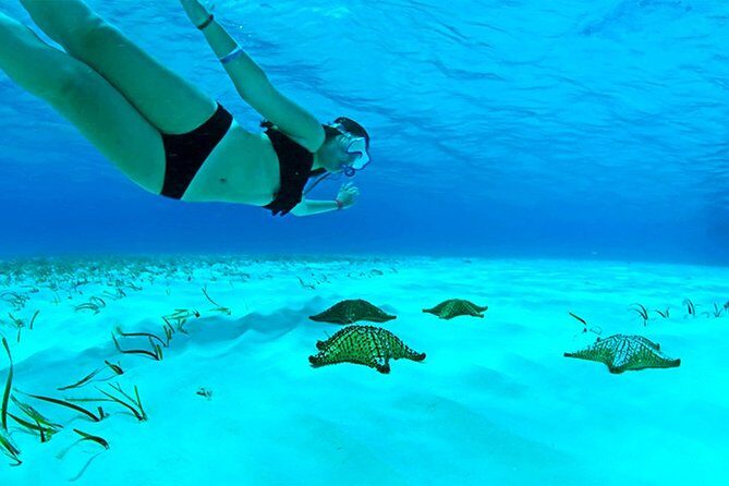 Live this unique snorkeling experience. El Cielo in Cozumel a magical tour. - FAQ