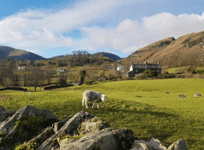 Liverpool: Lake District Tour with Lake Cruise - Key Points