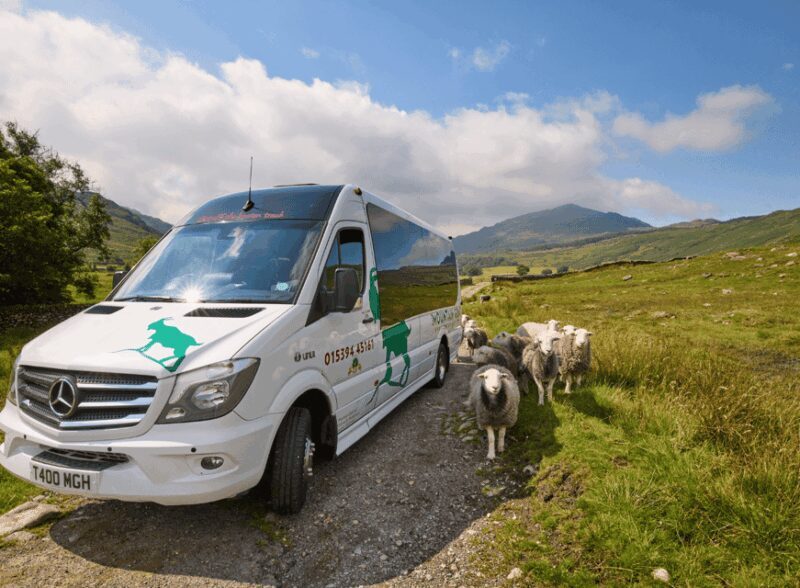 Liverpool: Lake District Tour with Lake Cruise - The Bottom Line: Who Is This Tour Best For?