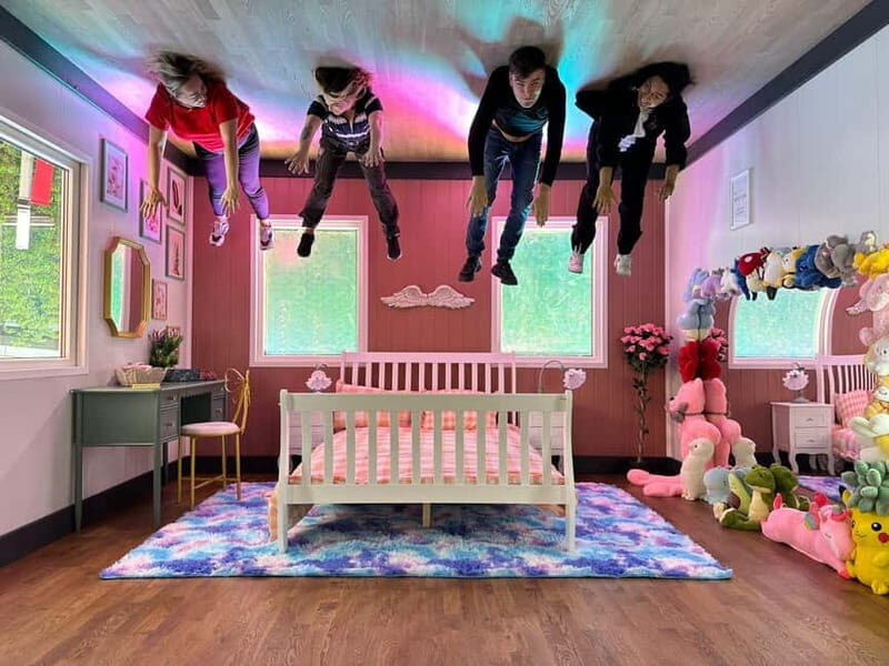 Liverpool: Upside Down House Entry Ticket - Key Points