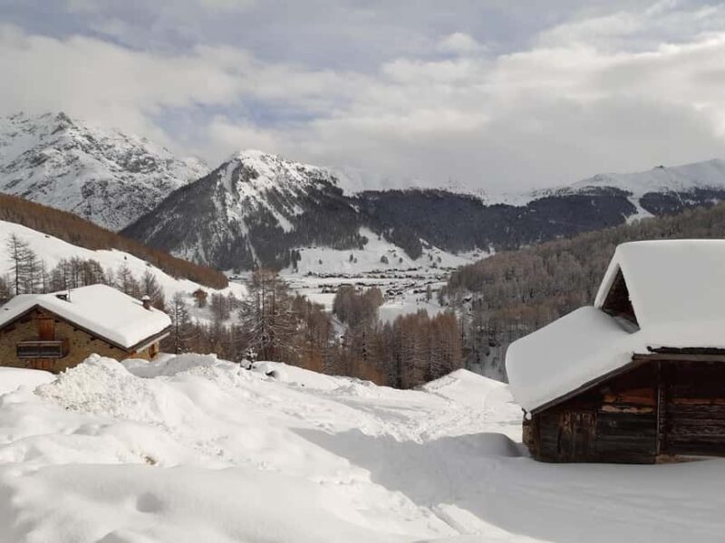 Livigno: 3-Course Lunch in a Mountain Hut with Wine - Final Thoughts