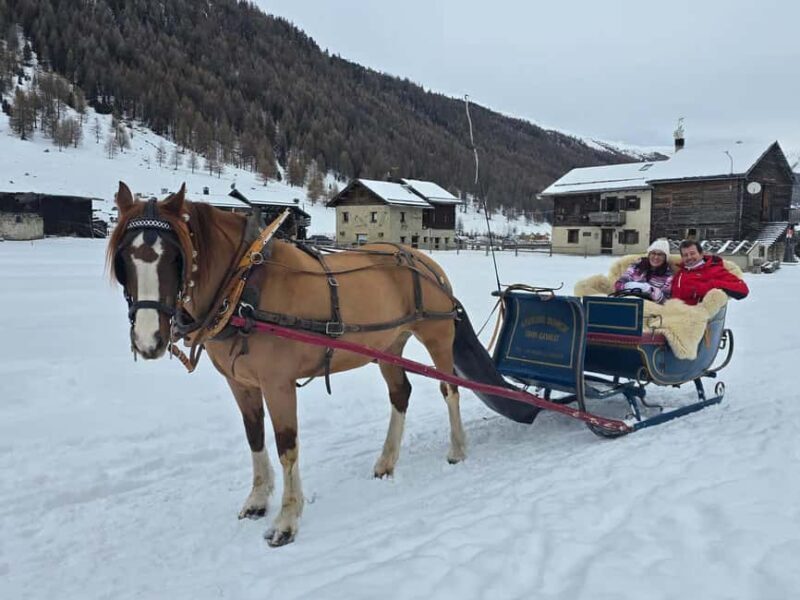 Livigno: Horse-Drawn Sleigh Ride with Blankets - Why This Experience Works for Different Travelers