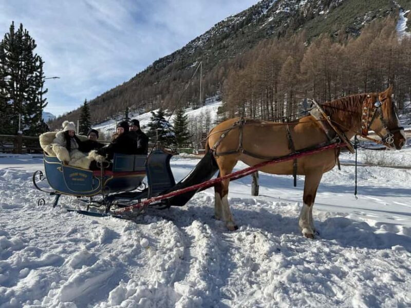 Livigno: Horse-Drawn Sleigh Ride with Blankets - FAQ