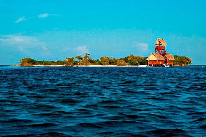 Living Dream, Holbox Tour! Round Transportation from Cancun - The Long Day and Group Dynamics