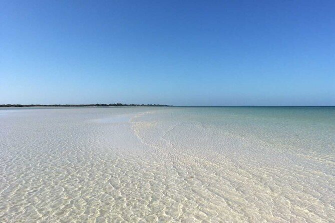 Living Dream, Holbox Tour! Round Transportation from Cancun - Final Thoughts