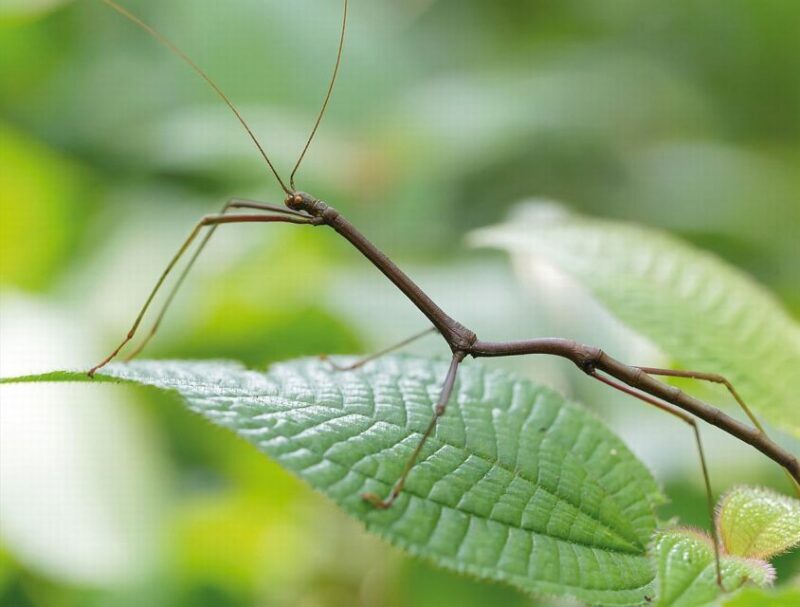 Livorno: Aquarium Entrance Ticket - Key Points