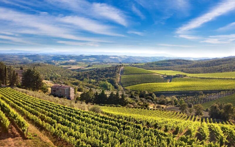 Livorno: Half-Day Chianti Wine Tasting Tour and Winery Visit - Exploring the Essence of Chianti in a Few Hours