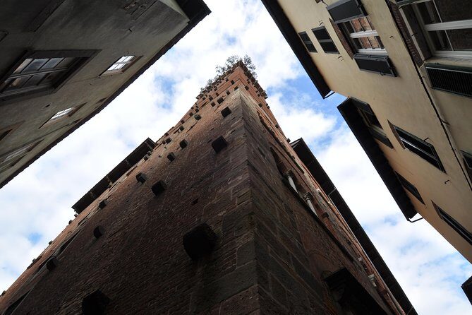 Livorno Private Shore Excursion of Pisa and Lucca - What Past Travelers Say