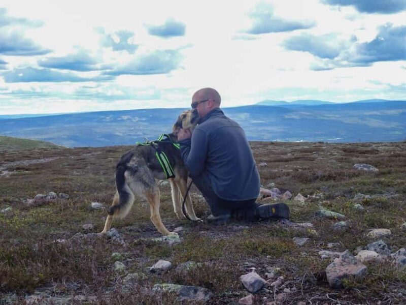 Ljørdalen - Trysil: Husky Hike with Campfire and lunch! - The Experience in Detail