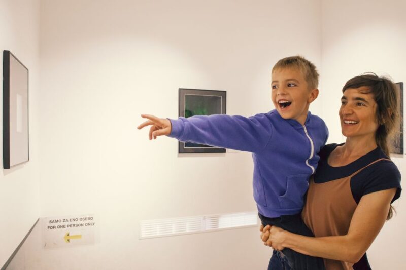 Ljubljana: House of Illusions Entrance Ticket - A Closer Look at the Ljubljana House of Illusions